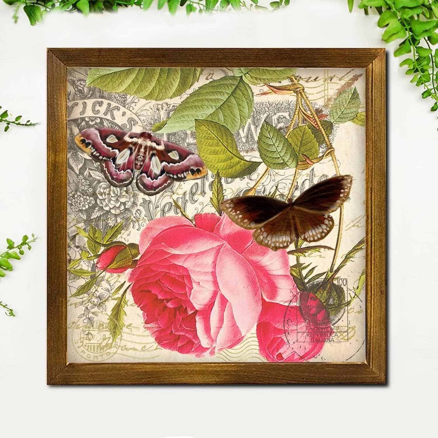 French Brown Butterfly Rose Wooden Framed Wall Sign 12x12 Inch