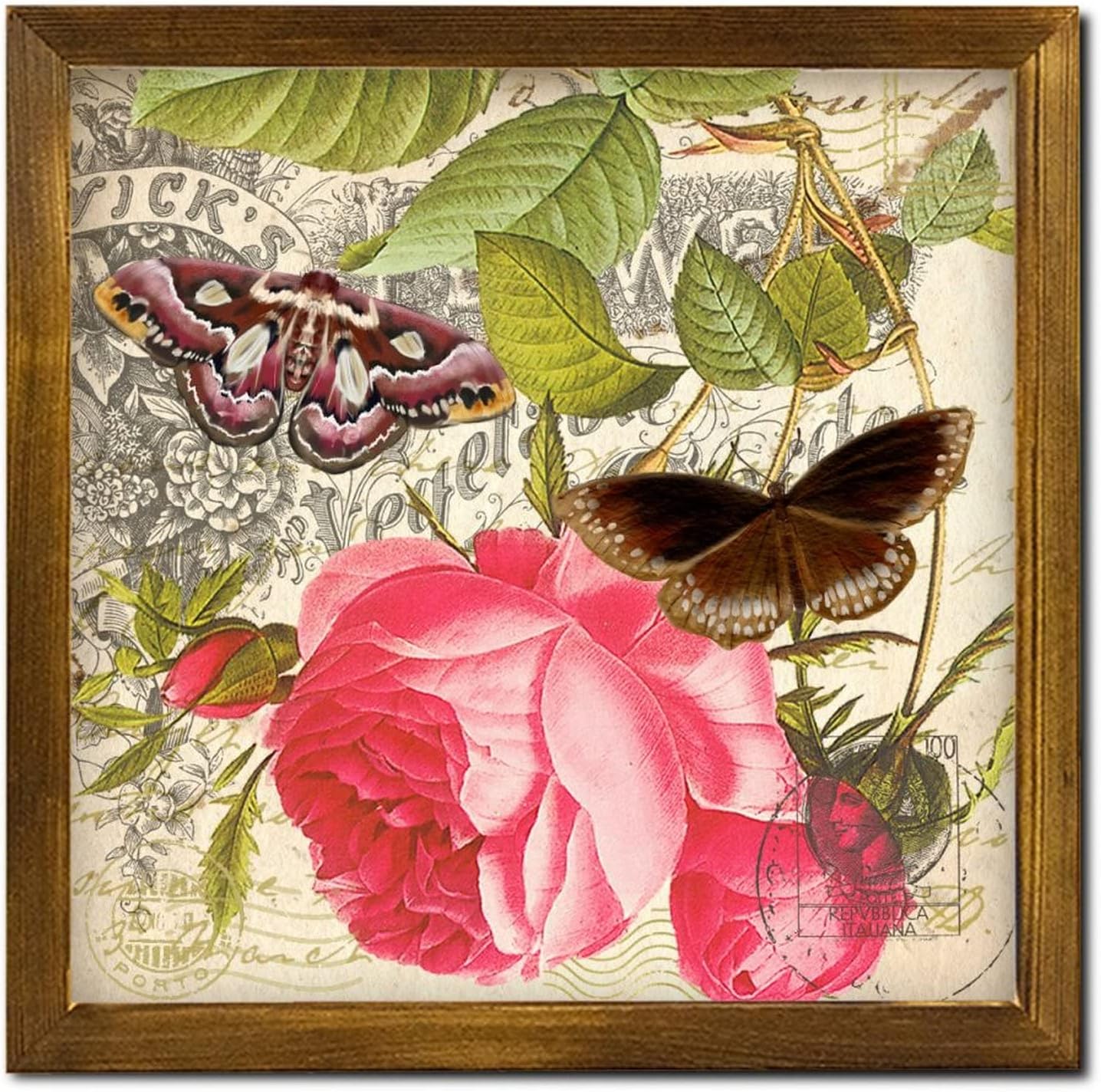 French Brown Butterfly Rose Wooden Framed Wall Sign 12x12 Inch